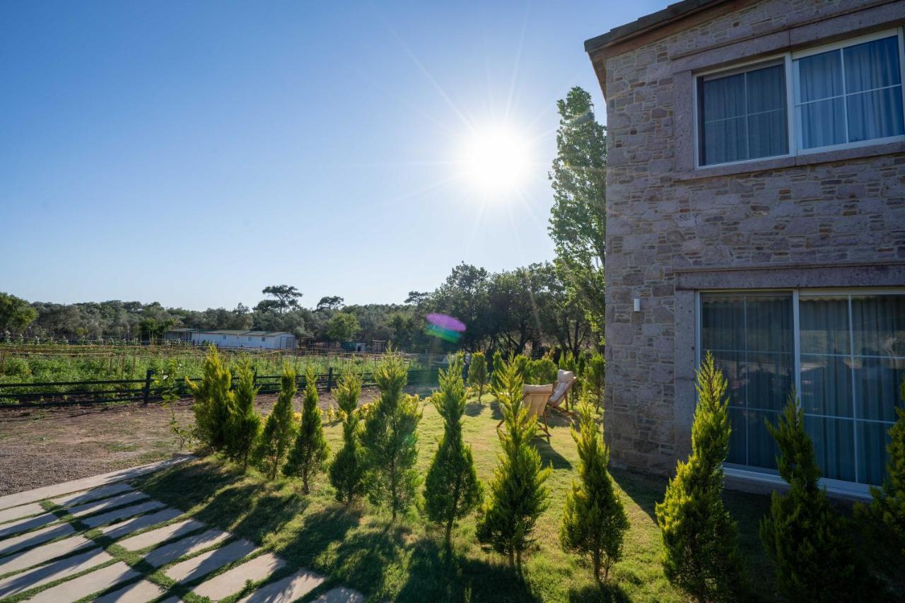 Leone Natural Otel Ayvalı Esterno foto