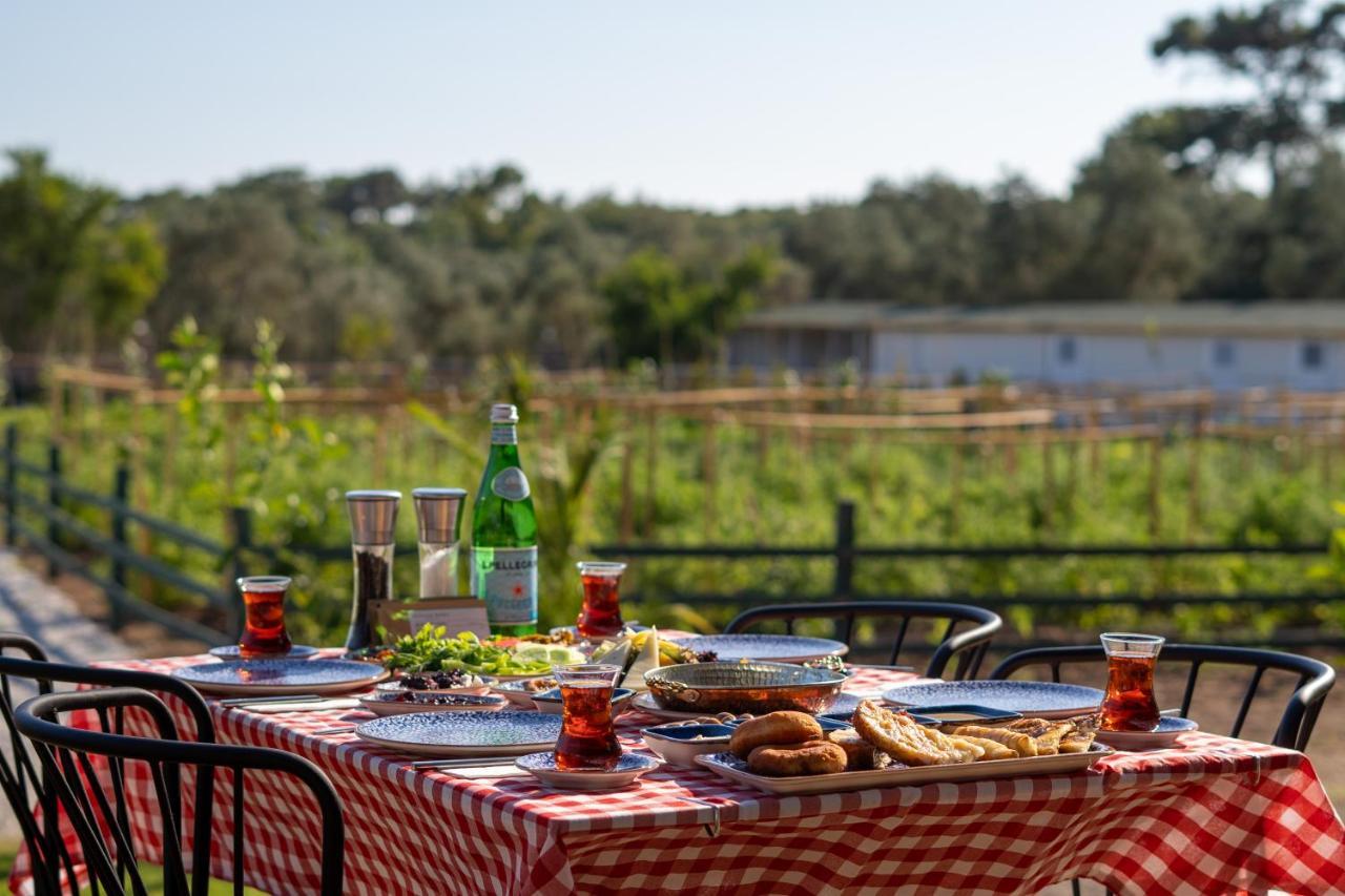 Leone Natural Otel Ayvalı Esterno foto
